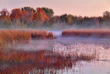 Misty Marsh At Sunrise 23893