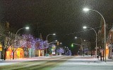 Snowy Beckwith Street 02563-70