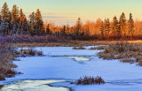 Freezing Brassils Creek 20101217