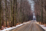 Cove Road In Winter 04223