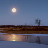 Winter Moonset 05004-6