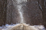 Winter Backroad 20110121