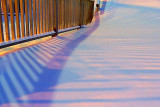 Railing Shadows On Snow 20110122