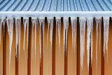 Icicles 20110206