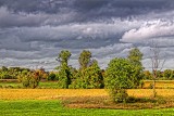 First Day Of Autumn 20120922