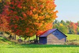 Autumn Barn 20121004