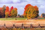 Autumn Landscape 20121010