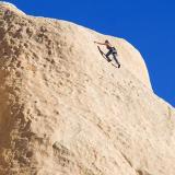 Rock Climber 24770