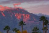 Mount San Jacinto In Sunrise