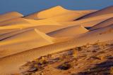 Imperial Sand Dunes 26570