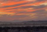 Sonoran Desert At Sunset