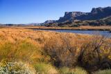 Bill Williams River National Wildlife Refuge