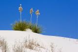 White Sands 32009