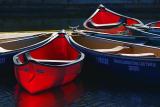 Dows Lake Canoes 20060508