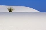 White Sands 32230