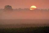 Misty Sunrise 38669