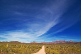 Road to the Ajo Mountains 82914
