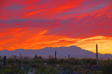 Desert Sunset 20080315