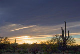 Desert Sunset 87010