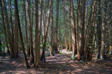 Stony Swamp 14452