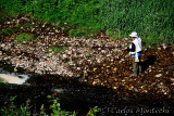 DSC_1184 copy.jpg