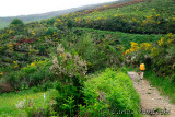 DSC_1900 copy.jpg