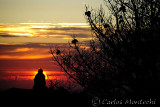 DSC_2828 copy.jpg