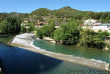 IMG_4477.jpg