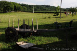 IMG_7637.jpg