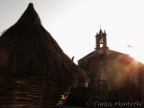IMG_7654 copy.jpg