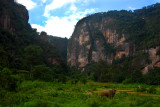 echo of harau