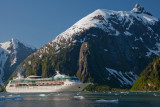 tracy arm-2064 800.jpg