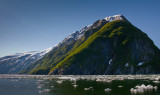 tracy arm-2101 800.jpg