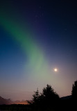 Summer Aurora 800-9730.jpg