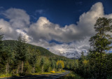 fall colors-.jpg