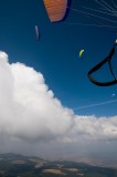 Monarca Paragliding Open 2009, Mexico