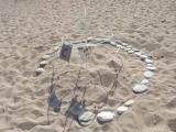 Caretta eggs....