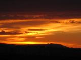 IMG_9041.jpg