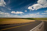Open Road to the Palouse