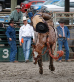 Saddle Bronc Competition