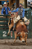 Bull Rider