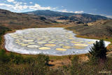 Spotted Lake