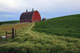 Palouse Pride II