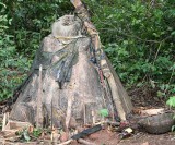  Voodoo. Legba in the Sacred Forest in Possotom. It especially helps women if they have problems during their pregnancy.