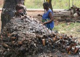 Dankoly. Each peg symbolizes a pilgrims wish to the Vodun and the promise to return with a sacrifice, if the wish is fulfilled.