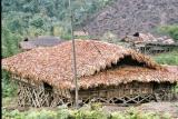 Gallong house and jhum cultivation