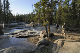 Continuing our hike along the Lyell Fork