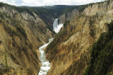 Lower Yellowstone Falls