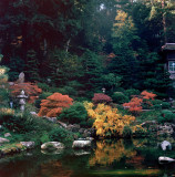 Hakone Gardens in 120 Film