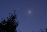 Venus and the Crescent Moon Rising together